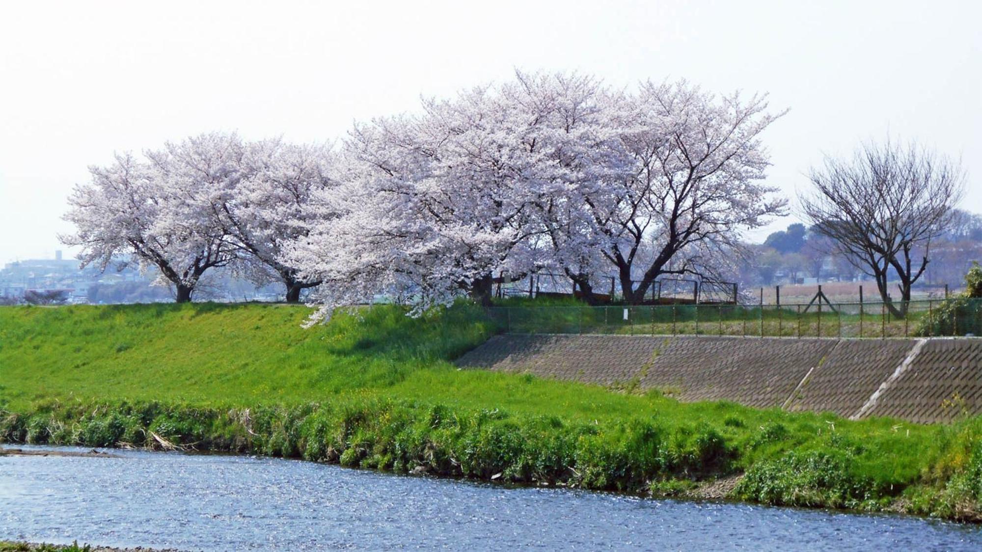 Toyoko Inn Shiki Eki Higashi Guchi Екстер'єр фото