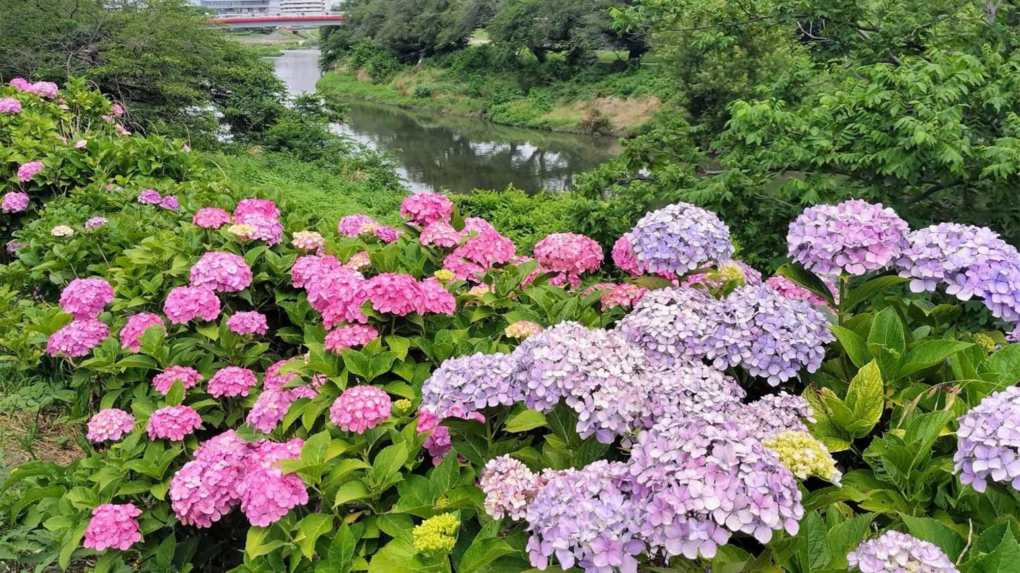 Toyoko Inn Shiki Eki Higashi Guchi Екстер'єр фото